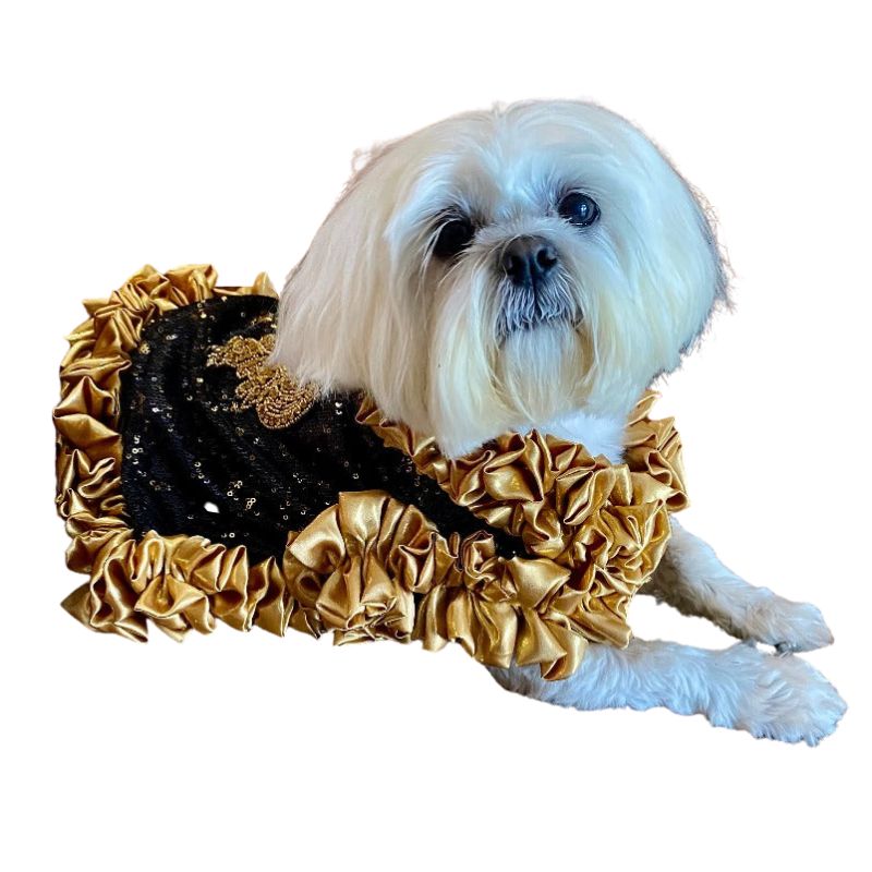 Posh Dog Life is delighted to announce our exclusive partnerships with award-winning bespoke dog fashion designers. Looking for something truly custom and unique? Here you'll find the crème de la crème in dog couture.