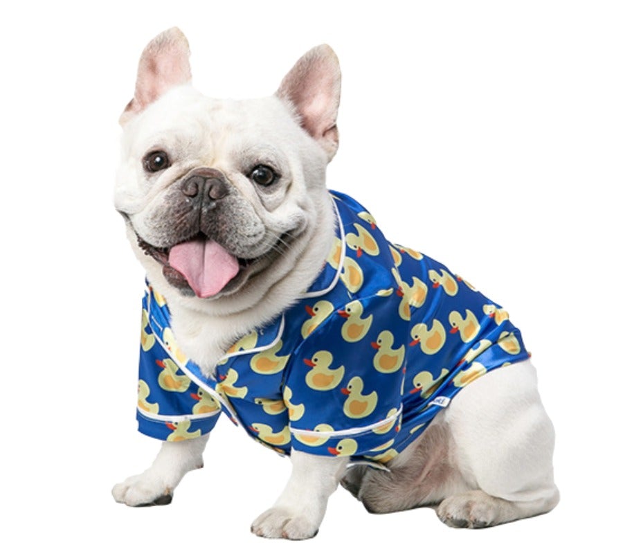 Only the finest for your snuggle buddy, Posh Dog Life offers a stylish selection of comfy dog PJs and soft puppy robes in an array of colors and sizes to suit every breed and keep your pooch cozy at night. Sweet dreams little pal!