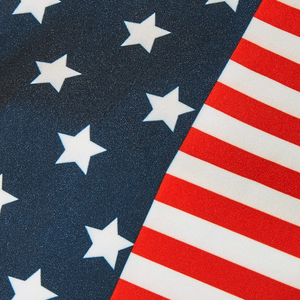 Patriotic Stars & Stripes Dog Shirt in Red, White and Blue.