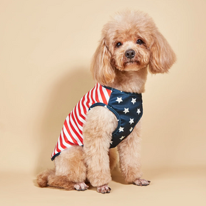 Poodle wearing Patriotic Stars & Stripes Dog Shirt.