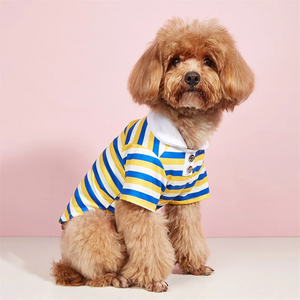 Poodle wearing Yellow Blue Striped Dog Polo Shirt