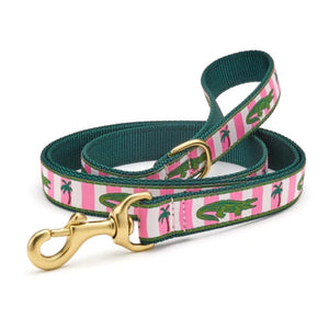 Comes with a matching leash