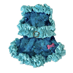 CMimi Aqua Blue Dog Dress