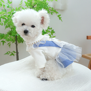 Chabby Chic Victorian Dog Dress fits small to medium dogs