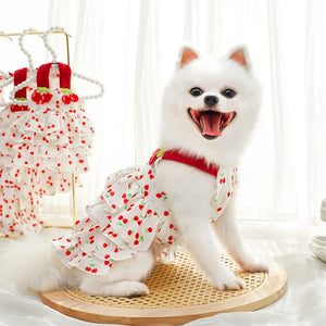 Pomeranian wearing cherry dog dress