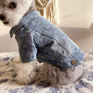 Poodle in Chewy Vuitton Denim Dog Jacket