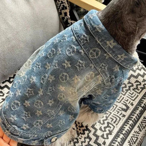 Terrier in Chewy Vuitton Denim Dog Jacket