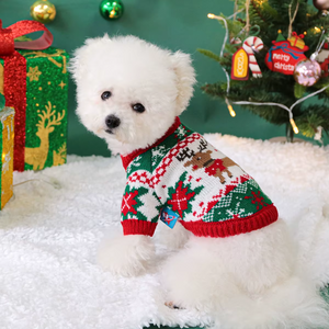 White dog wearing a festive sweater in front of a Christmas tree and presents.