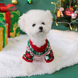 Small white dog wearing a red and green sweater in front of Christmas decorations.