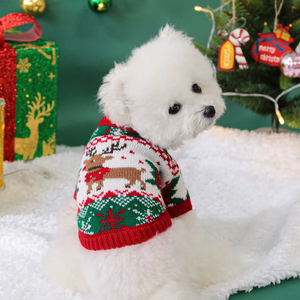 Small white dog wearing a festive sweater with reindeer in front of a Christmas tree and presents.