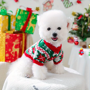 Small white dog wearing a festive sweater in a Christmas-themed setting with presents and decorations.