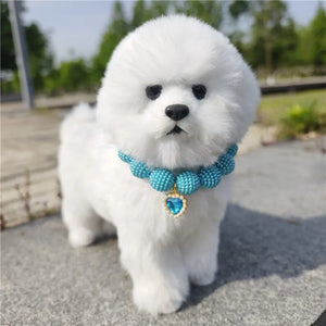 Bichon Frise wearing blue Crystal Heart Colorful Beaded Pearl Dog Necklace