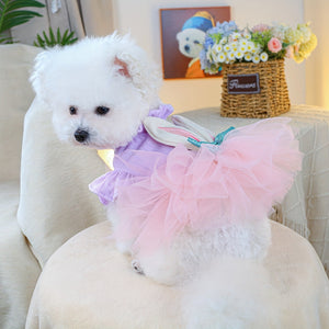 Bichon in Easter bunny dog dress