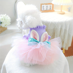 Bichon in Easter bunny dog dress