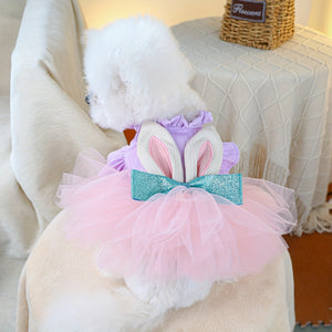 Bichon in Easter bunny dog dress