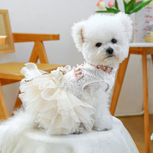 Small white dog wearing a crochet tutu dress with ruffles and a bow, sitting on a chair.