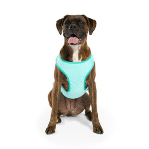 Elasto-Fit Ice Vest Dog Cooling - Aqua