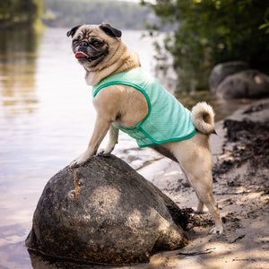 Elasto-Fit Ice Vest Dog Cooling - Aqua