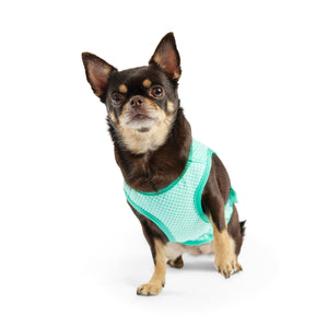 Elasto-Fit Ice Vest Dog Cooling - Aqua