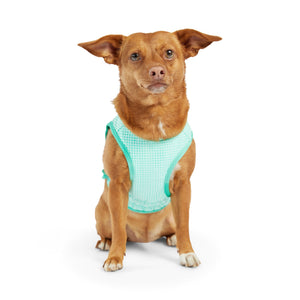 Elasto-Fit Ice Vest Dog Cooling - Aqua