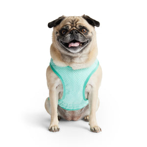 Elasto-Fit Ice Vest Dog Cooling - Aqua
