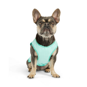 Elasto-Fit Ice Vest Dog Cooling - Aqua