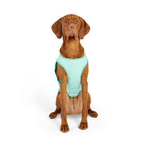 Elasto-Fit Ice Vest Dog Cooling - Aqua