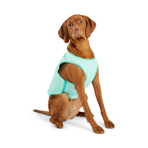 Elasto-Fit Ice Vest Dog Cooling - Aqua