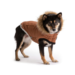 Husky in Urban Dog Parka - Caramel