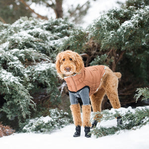 Goldendoodle in Urban Dog Parka - Caramel