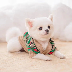 Pomeranian wearing Gucci Designer-Inspired Dog Sweater