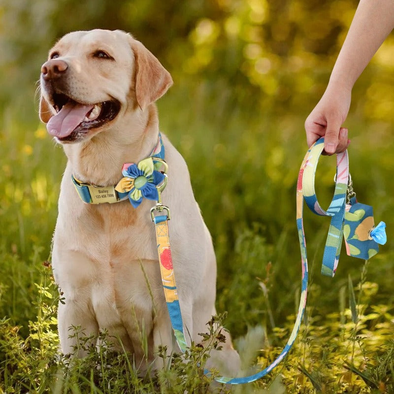 Blue Floral Dog Collar & Leash matching set includes a Personalized Dog Collar, Leash & Poop Bag Case