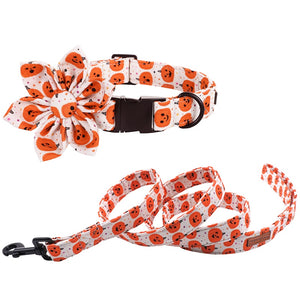White and orange Halloween Jack-O-Lantern matching set includes a Personalized Dog Collar, Leash & Flower.