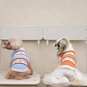 Back view of Poodle and Shih Tzu wearing Winter Love Dog Sweater