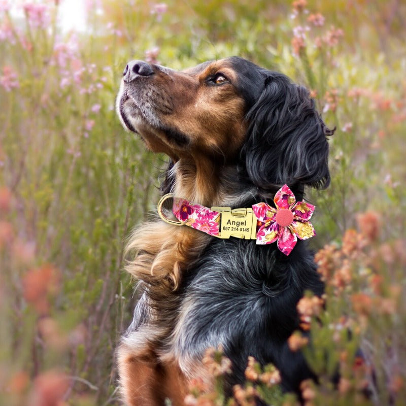 Classy and chic, this Pink Rose Flower matching set includes a Personalized Dog Collar, Leash & gorgeous handsewn Flower slider. 