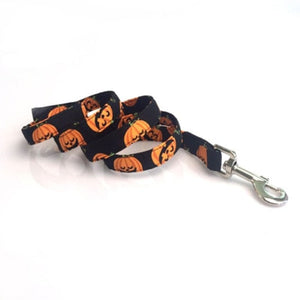 Comes with a matching leash.