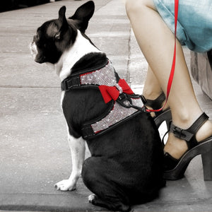 This Reflective Bling Rhinestone Bow Dog Harness fits Boxers.