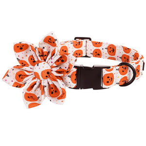 White and orange Halloween Jack-o-Lantern matching set includes a Personalized Dog Collar, Leash & Flower.