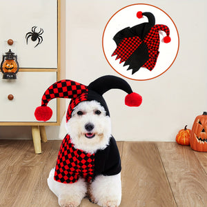 Dog wearing a Halloween costume with a checkered jester hat and black outfit, surrounded by pumpkins and a spider decoration.