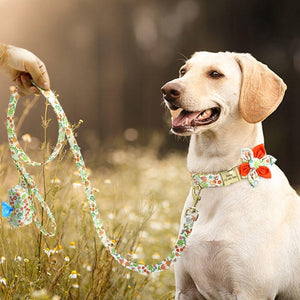 This luxurious floral collar set is perfect for small, medium and large breed dogs, like this Labrador.