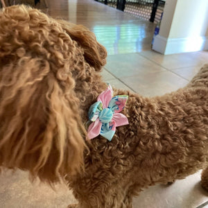 Pastel Pink Flower Dog Collar on a Goldendoodle.