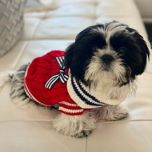 Shih Tzu wearing red cable knit sweater