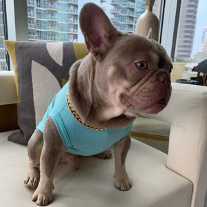 French bulldog wearing Sniffany T-Shirt
