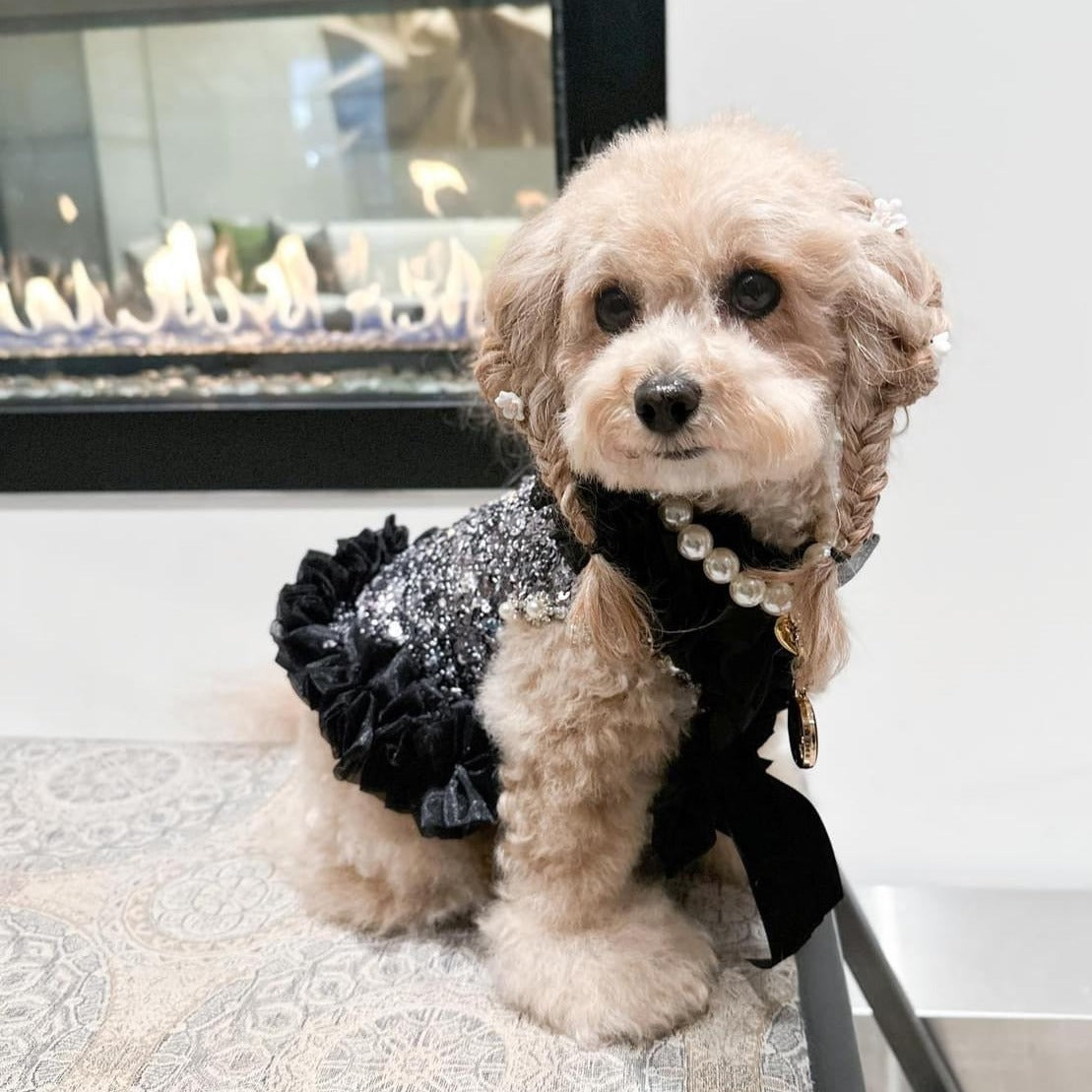 Get ready for a night out on the town with this bling dog party dress in silver and black. Custom sizing for all dog breeds,