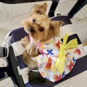 Adorned with a large gray bow, this elegant dog dress is perfect for small breed dogs for weddings, birthdays and special celebrations.