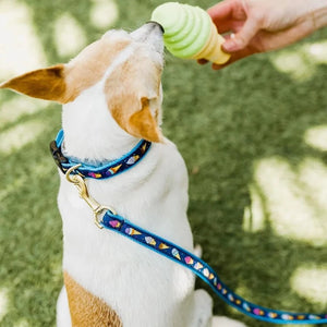 Up Country Ice Cream Dog Collar & Leash Matching Set fits all size dogs and is perfect for parties.