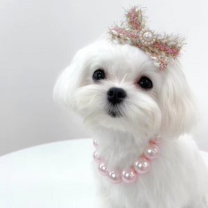 Maltese wearing pink Large Pearl Dog Collar Necklace