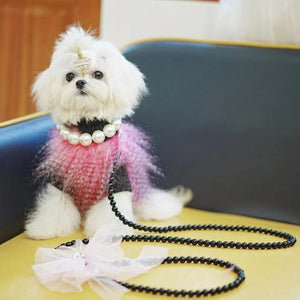 Maltese wearing Large Pearl Dog Collar Necklace in white.