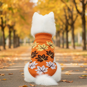 White dog wearing an orange sweater with leaf pattern in an autumn setting