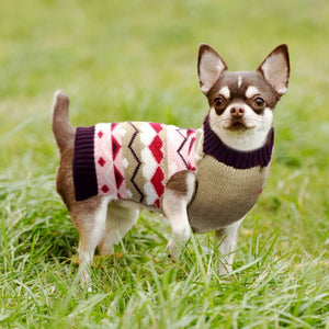Pink Hearts Dog Sweater pictured on a Chihuahua